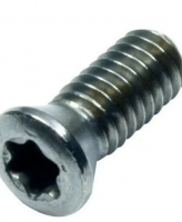 Parafuso Torx M5 x 10,8mm